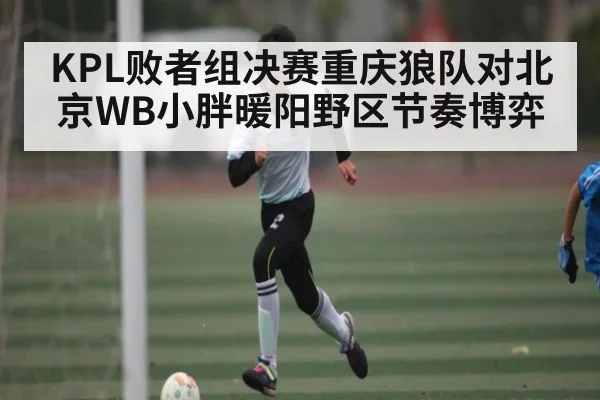 KPL败者组决赛重庆狼队对北京WB小胖暖阳野区节奏博弈